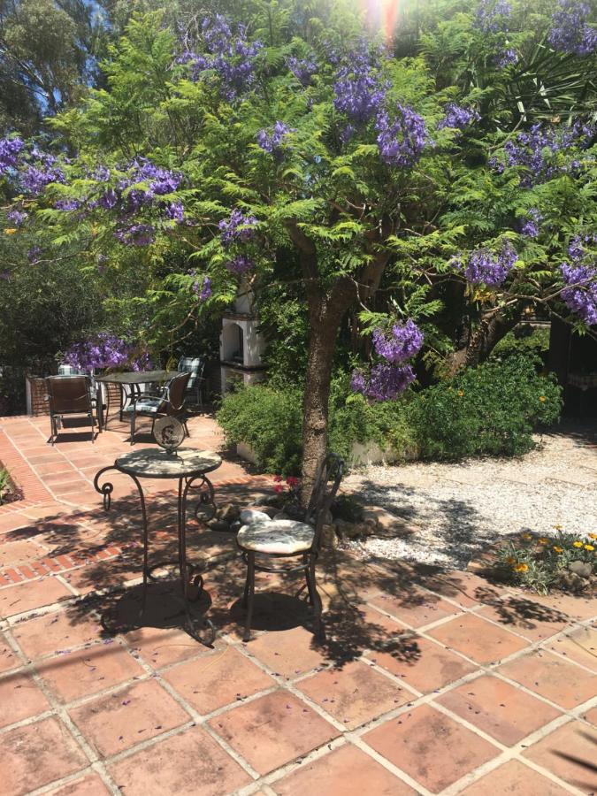 Finca El Rio, The Studio Self Catering With Pool And Hydrotherapy Jacuzzi Set In Beautiful Gardens, Гуаро Екстериор снимка